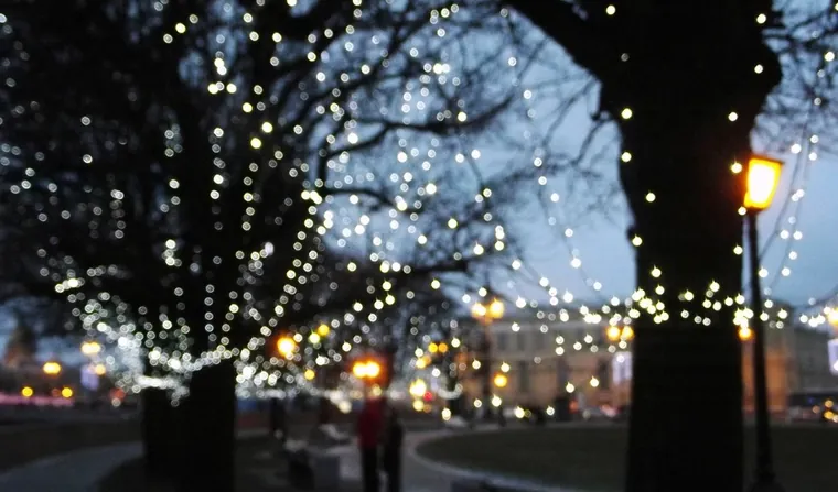 Los árboles del jardín, iluminados con guirnaldas de luces